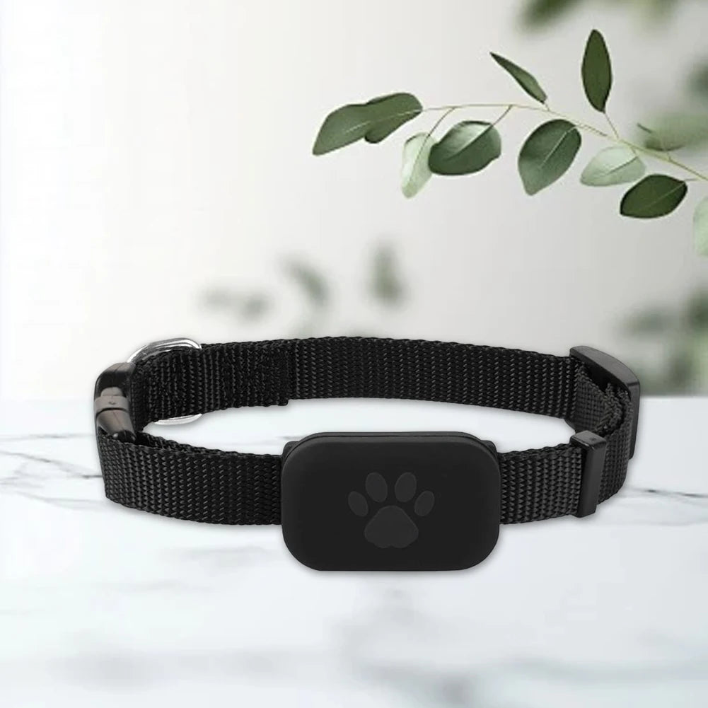 Smart GPS Pet Tracker with Adjustable Collar – Shunmaii
